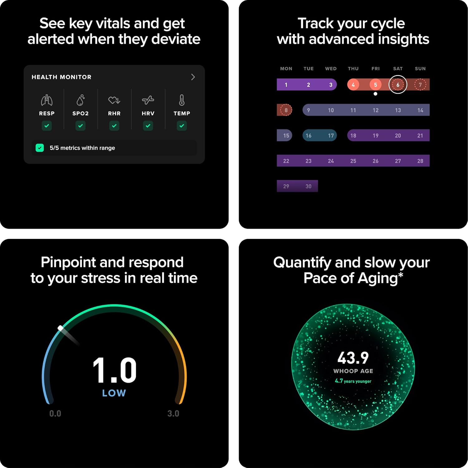 WHOOP vs. Garmin: Which Running Tracker Actually Changes How You Train